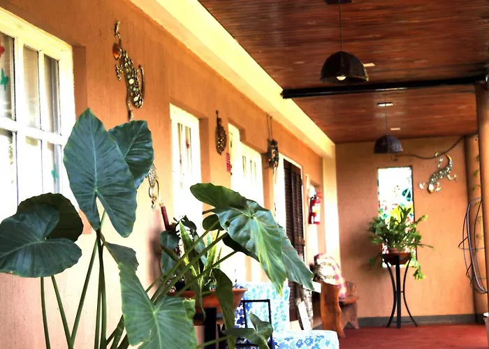 Apart Hotel Las Violetas